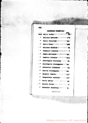 Fotogramma D 11