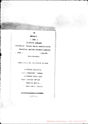 Fotogramma E 5