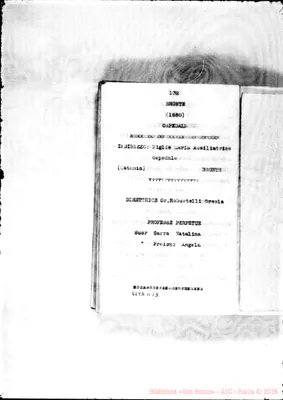 Fotogramma D 12