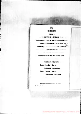 Fotogramma C 3