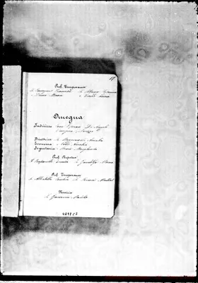 Fotogramma C 7