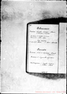 Fotogramma C 8