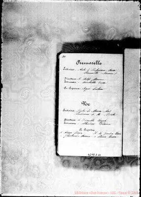 Fotogramma C 10