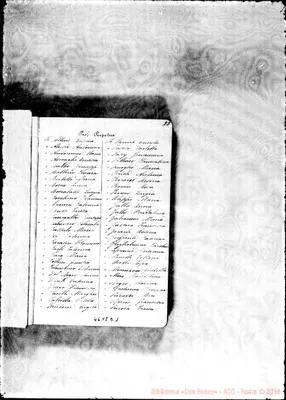Fotogramma D 1