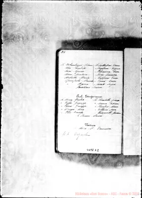 Fotogramma D 2