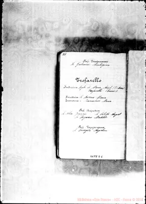 Fotogramma D 6
