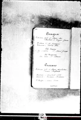 Fotogramma E 6