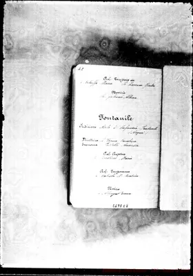 Fotogramma E 8