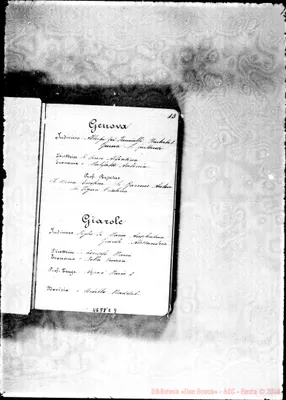 Fotogramma E 9