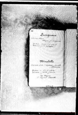Fotogramma E 12