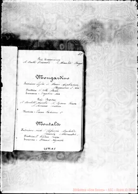 Fotogramma A 1