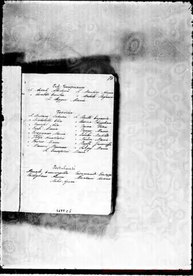 Fotogramma C 5