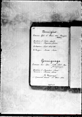 Fotogramma C 8