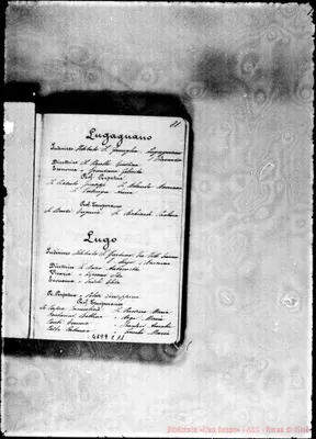 Fotogramma C 11