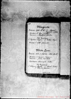 Fotogramma C 12