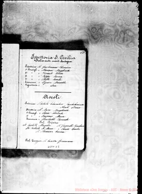 Fotogramma D 7