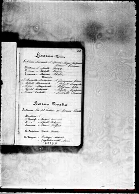 Fotogramma D 11