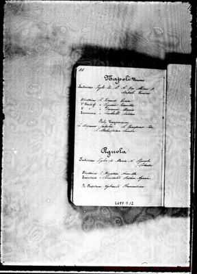 Fotogramma D 12