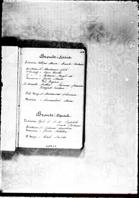 Fotogramma E 9