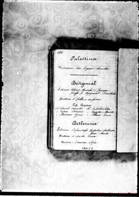 Fotogramma C 2