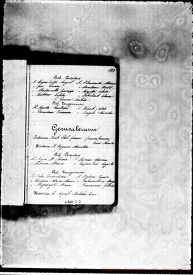 Fotogramma C 3