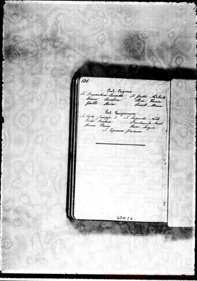 Fotogramma C 6