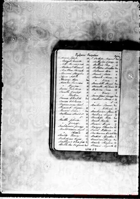 Fotogramma C 8