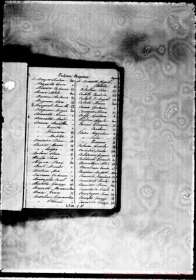 Fotogramma C 11
