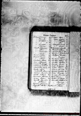 Fotogramma C 12