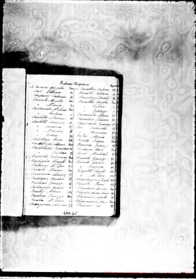 Fotogramma D 1