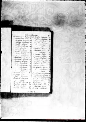 Fotogramma D 3