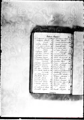 Fotogramma D 4