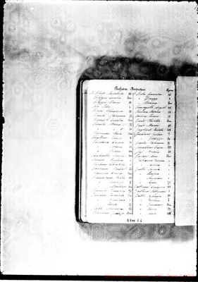 Fotogramma D 6