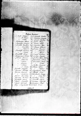 Fotogramma D 7