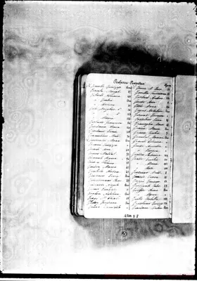 Fotogramma D 8