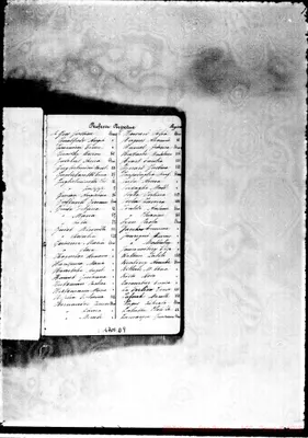 Fotogramma D 9