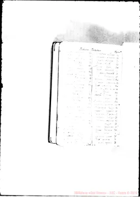 Fotogramma E 4