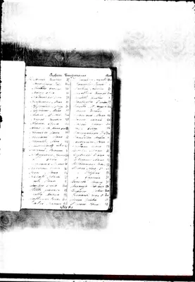 Fotogramma A 1