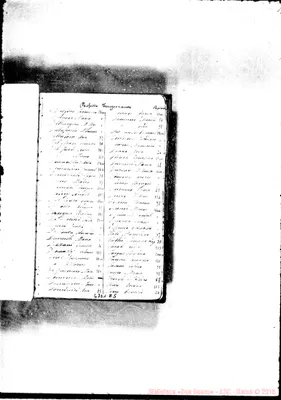 Fotogramma A 5
