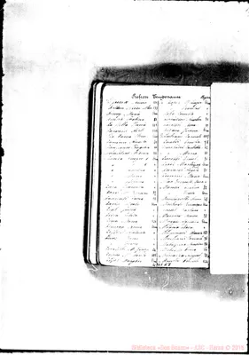 Fotogramma A 8