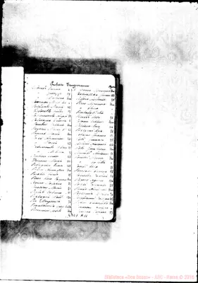 Fotogramma A 11