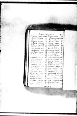 Fotogramma A 12