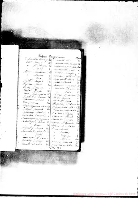 Fotogramma B 1
