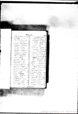 Fotogramma B 5