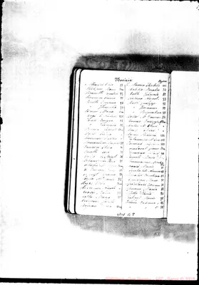 Fotogramma B 8