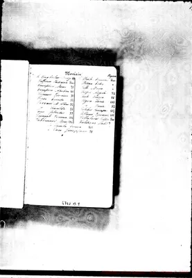 Fotogramma B 9