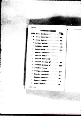 Fotogramma D 10