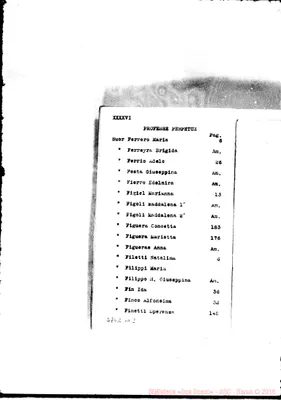 Fotogramma B 2