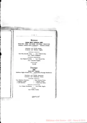 Fotogramma D 11