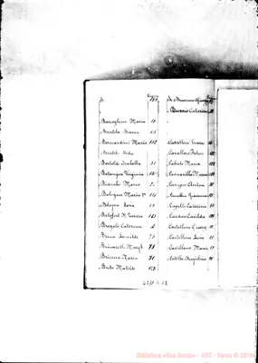 Fotogramma D 12